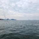 금땡이 | 보령 오천항 알쭈꾸미 배낚시 체험! 금땡이호 타고 아들과 힐링 낚시 다녀온 후기