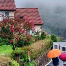 건강한 생활 요리 이미지