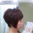 후즈 WHOS