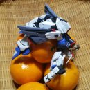 RG팩토리 이미지