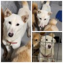 종고산길 이미지