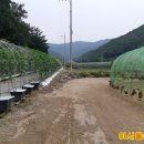 단국대학교 경영대학원 이미지