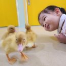 송선희 농민신문