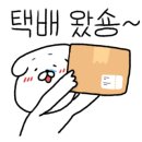 니손내손 이미지