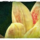 행복한 세탁이야기 이미지