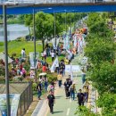 장미의거리9 이미지