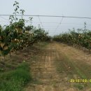 산동농산 이미지