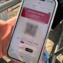 국대과일 | [인천 미추홀구] SSG 랜더스필드 몰리스그린존 직관후기 문학구장 먹거리 주차꿀팁 주류반입정보