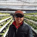 삼칠농장 이미지