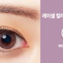 셀안경원 이미지