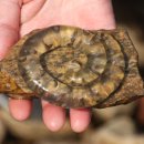 마지초등학교 이미지