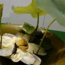 산내들농장 이미지