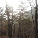 내촌면복지회관 이미지