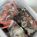 은하수산 | 🦀[은하수산] 6월 대게 후기 ㅣ가락시장 대게 가격｜수율 ㅣ찜·손질 ㅣ 대게 퀵 ㅣ 온누리결제실패