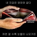 태극행정사 | 주머니 사정이 어렵다면, &#34;달려라~ 하니!&#34;