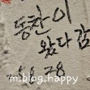 서초대로42길 70 (1) | 충무로역 술집 &amp; 동국대 술집 감성 100%, 조세핀에서의 찐 후기