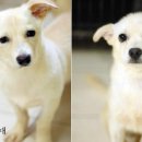 장형농장 이미지