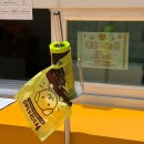 대구 달서 반려견놀이터 장동공원 신상 애견운동장 후기