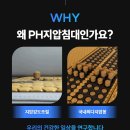 피닉스 지압침대 이미지