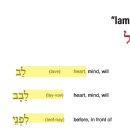 가온메드 이미지