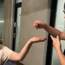 스테이 소유 이미지