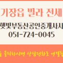 햇빛공인중개사사무소 이미지