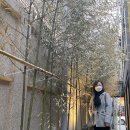 #SPRING_36: 좋은사람들과 함께 분위기 좋은 카페- 일상엔 베이커리 카페