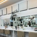 서초중앙로24길 27 (5) 이미지