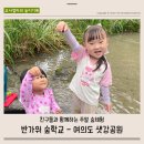 대쌍령리 생태도시숲 | 서울 주말 숲체험 반가워 숲학교 샛강생태공원 그룹수업