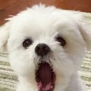 오복푸드