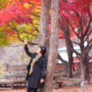 환상의 추억 이미지