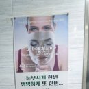 산호동261 이미지
