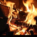 모닥불 이미지