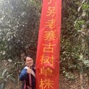 (주)단주 이미지