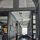 서울회관 명동점 | 명동 데이트 소개팅 청첩장 모임장소 맛집 마노디쉐프 명동점 후기