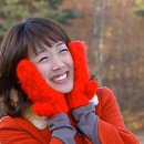 안양보쌈 이미지