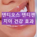 플러스덴치과기공소 | 덴티오스 덴티젠 성분 효과 시린이 잇몸 질환 케어 사용 후기