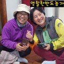 광전농장 이미지