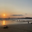 청포대숲속야영장 이미지