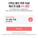 침계정 | 프라하여행코스 스카이다이빙 솔직 후기, 비용, 버킷리스트 달성!