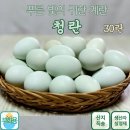금강초계 쇼핑하우