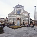 메디치약국 이미지