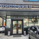 라이언펫 수원광교동물병원 이미지