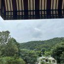 디올리앤 이미지