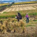 부여토종씨앗도서관협동조합 이미지