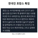 슛돌이비어캐빈 | 10월 나의 시월