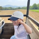 용인 농도원목장 체험 솔직 후기(준비물, 꿀팁)