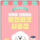 아산좋은12호 | 아산고양이분양 후기 우리 집에 온 작은 행복, 유앤미펫시흥점에서 만난 특별한 인연