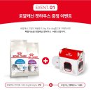 고(GO) 하우스 이미지