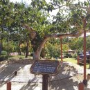 창원단감테마공원 이미지